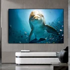 Картина маслом животное Большой дельфин плавание в море Картина на холсте плакаты и принты украшение для дома гостиной