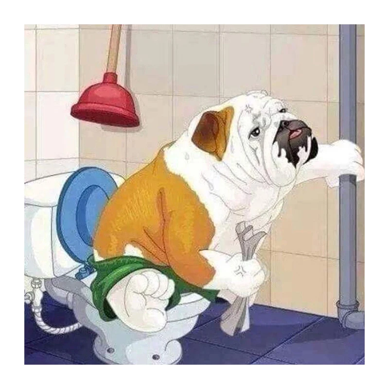 5D DIY Алмазная вышивка собака на унитазе алмазная живопись крестиком полная