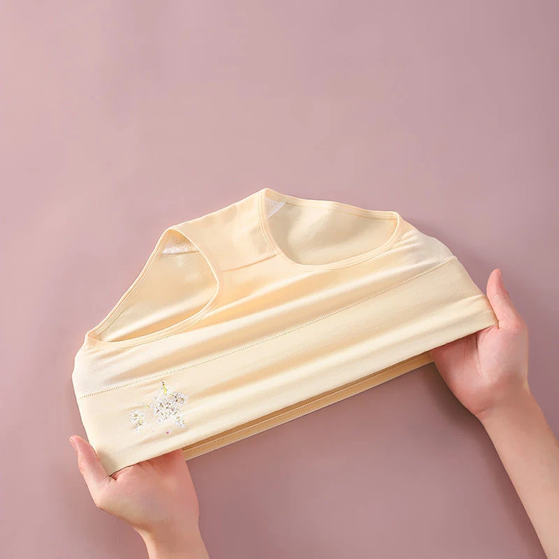 Трусики женские с завышенной талией из 100% хлопка|Женские трусики| |