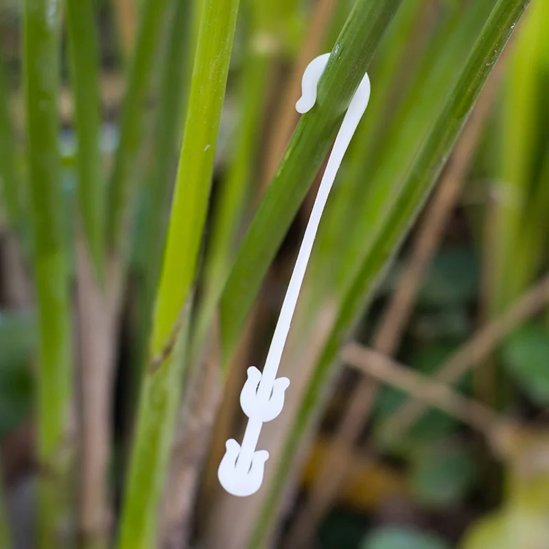 

50 Pcs Agricultural Ear Hook Farming Tomatoes Greenhouse Clamp Fruit Vegetable Fix LKS99