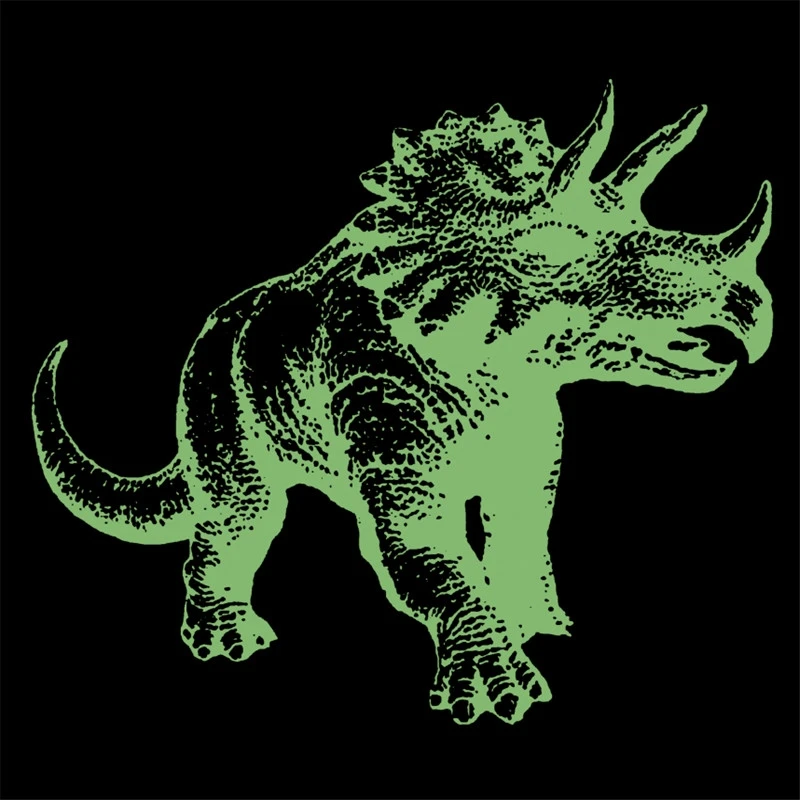 

Dinosaur Patches for Clothing Luminous Badge Heat transfer printing Noctilucent Patch Clothes DIY Fluorescence Stickers Gifts