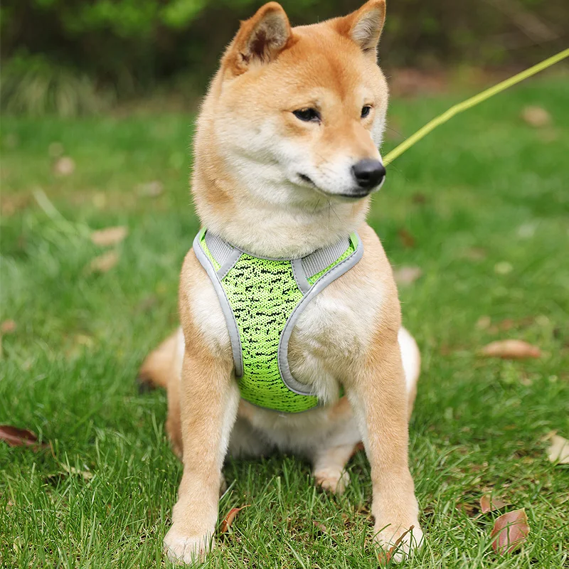 Средний очень маленькая шлейка для больших собак жилет изящный защитный чехол