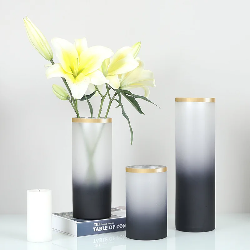 

Modern Gradient Frosted Paint Straight Glass Vase Transparent Hydroponic Flower Living Room Bedroom Home Decoration Vase