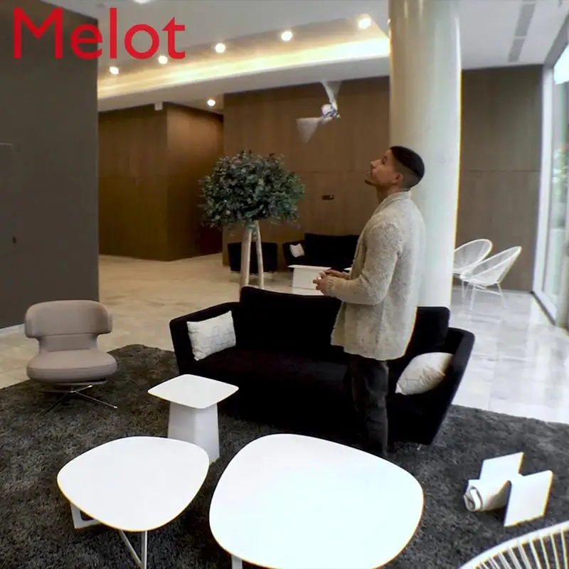 

High-End Luxury Remote Control Intelligent Insect Aircraft Electric Toy Machine Bird Children's Toy High Quality Graduation Gift