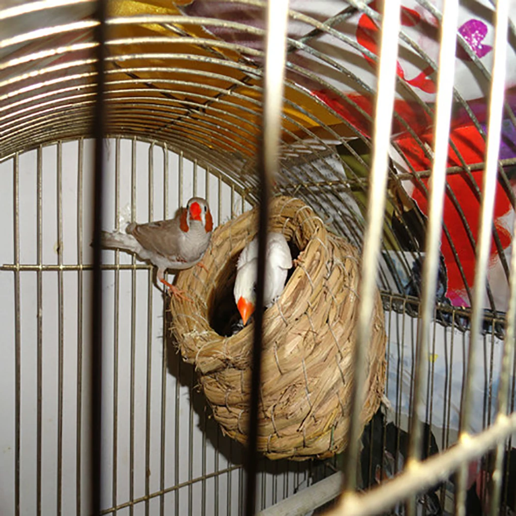 Parrot Straw Nest Gourd Windproof Grass Hut Handmade Bird for Cockatoo Pet Products Accessories | Дом и сад