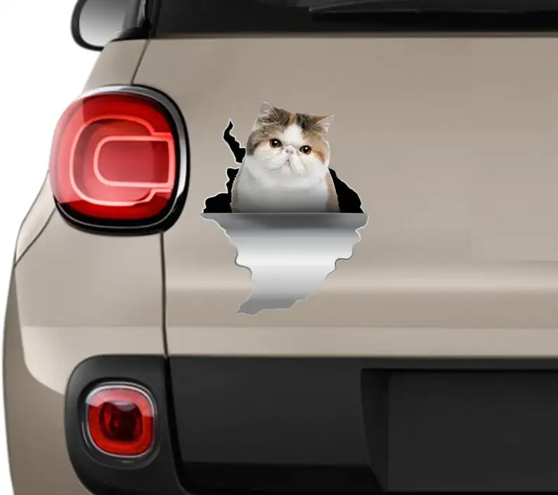 

Cute cat stickers Cat stickers Car stickers Grey cat stickers Car decals Windows sticker Cat lover gift Vinyl sticker Pretty