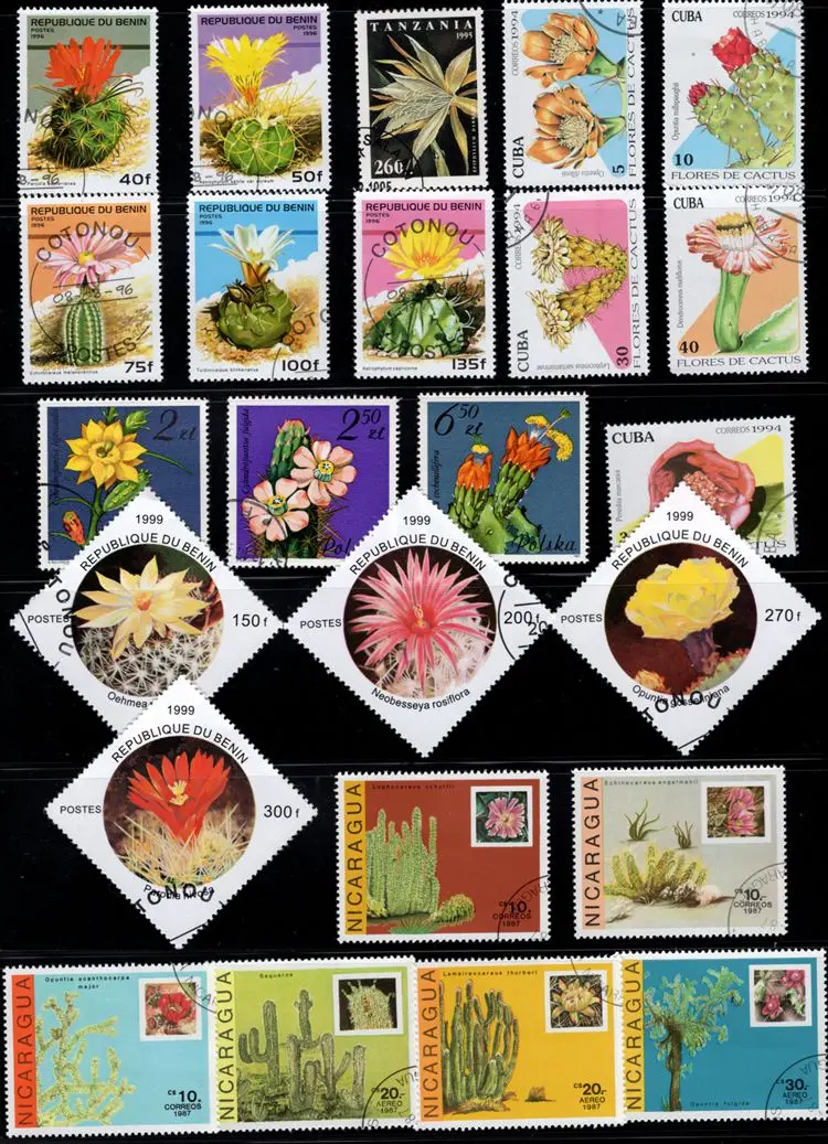 

50Pcs/Lot Cactus Plant Stamp Topic All Different From Many Countries NO Repeat Postage Stamps with Post Mark for Collecting