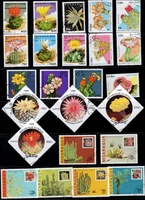 50pcslot cactus plant stamp topic all different from many countries no repeat postage stamps with post mark for collecting