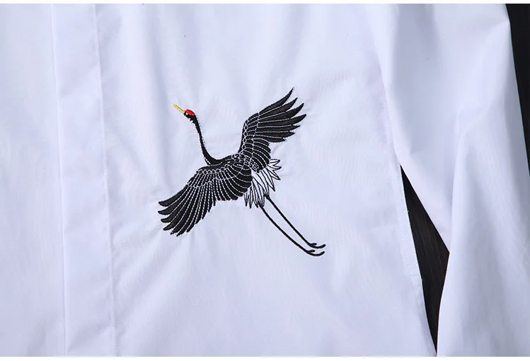 

Mens Shirts Luxury Embroidered Casual Metrosexual Mens Dress Shirts Plus Size 4xl 100% Cotton Long Sleeve Shirts Man
