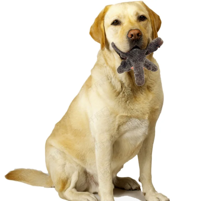 

Pet Dog Accessories Chew Toys Household Items Original Home Furnishing Products Suitable For Cat Dog Dropship