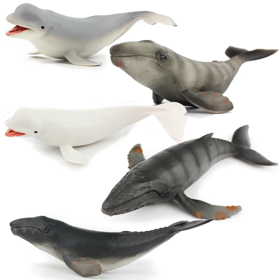 

Simulation Marine Life Animal Action Figure Model Megaptera Novaeangliae Gray Whale White Whale Children's Cognitive Toy Gift