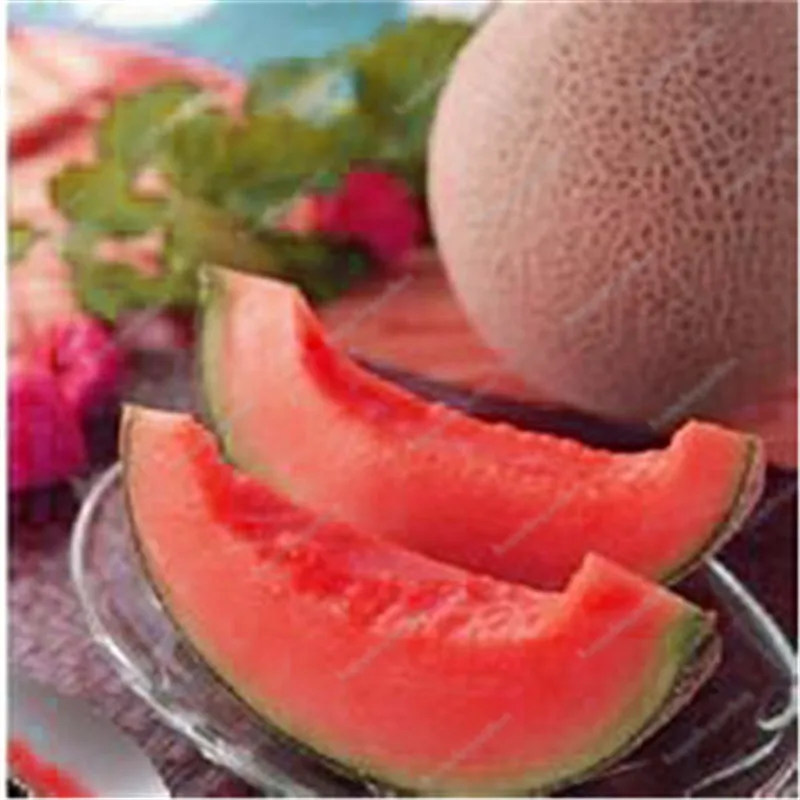 Мускусная Дыня 100 шт |