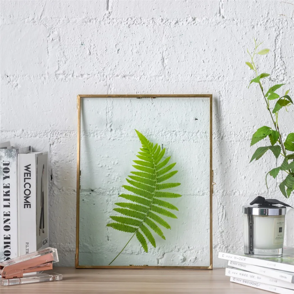28x36cm Retro Glass Picture Frame Display Poster Plants Specimen Clip Home Office Wall Decoration Card Photo Frames Rectangle