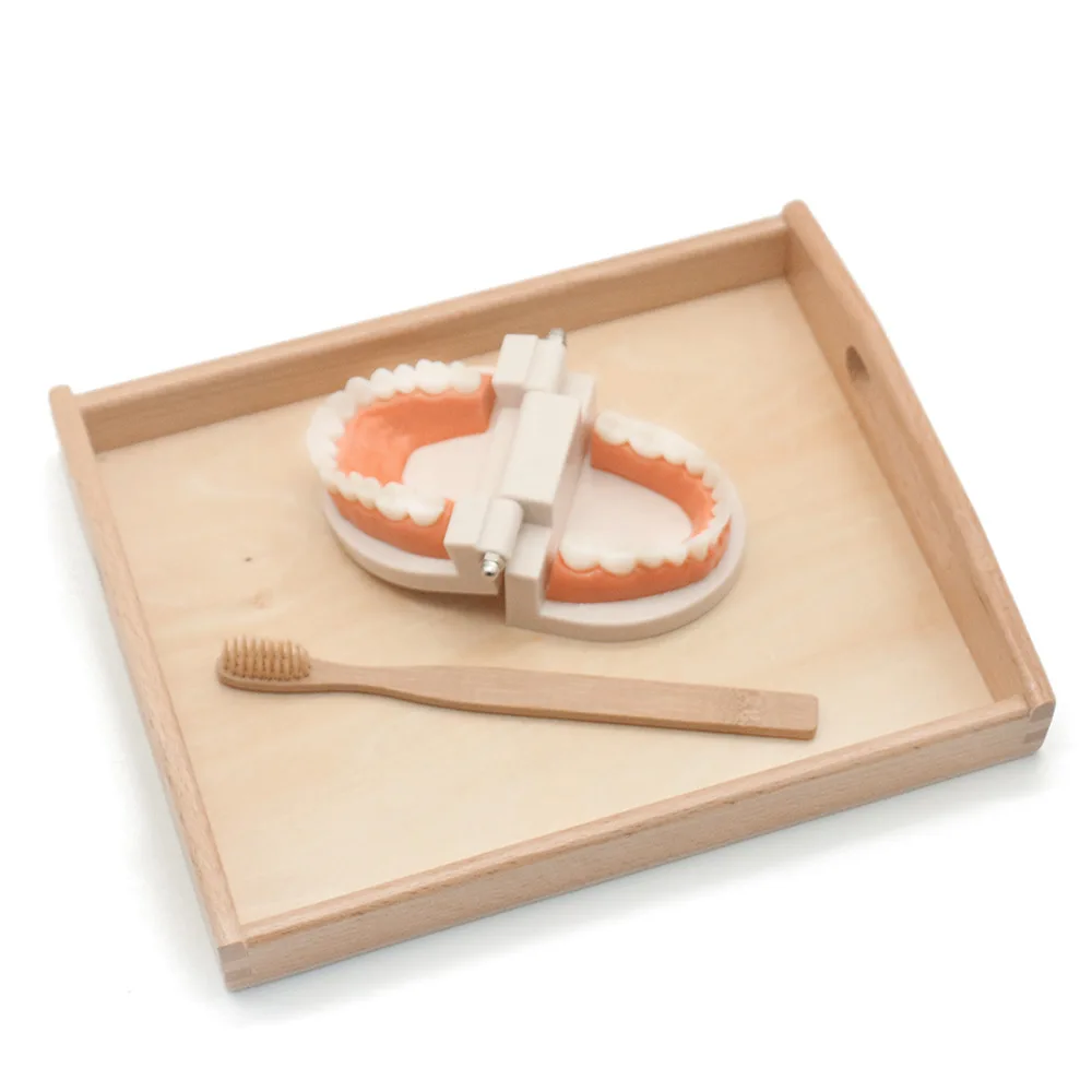 Монтессори практический материал для чистки зубов упражнения жизненные навыки