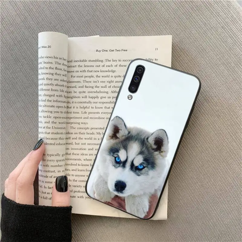 

Cute animal husky lovely dog Phone Case For Samsung galaxy S 9 10 20 A 10 21 30 31 40 50 51 71 s note 20 j 4 2018 plus