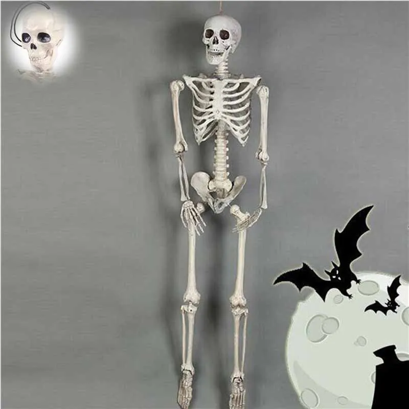 

Skeleton Model Wholesale bone Anatomy art 40CM Flexible Human sketch Halloween Learn Aid Anatomical Anatomy