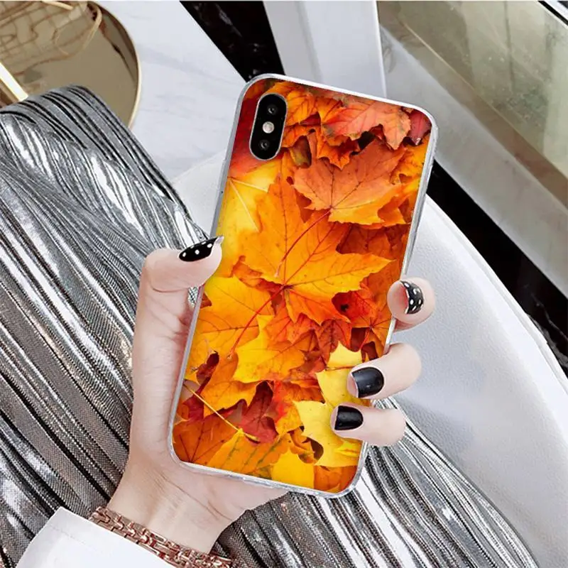 

YNDFCNB fall Maple Leaves scenery Phone Case For iPhone X XS MAX 6 6s 7 7plus 8 8Plus 5 5S se 2020 XR 12 11 pro max case