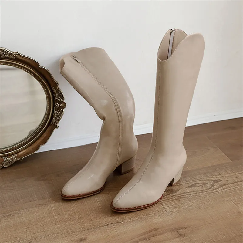 

ANNYMOLI Genuine Leather Knee High Boots Women Real Wool Fur High Heel Western Boots Thick Heel Shoes Zip Pointed Toe Long Boots