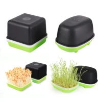 seed sprout tray hydroponic peanut sprout box bean pea wheat seedling sprouter tray grow germination soilless planting pot 1 pc