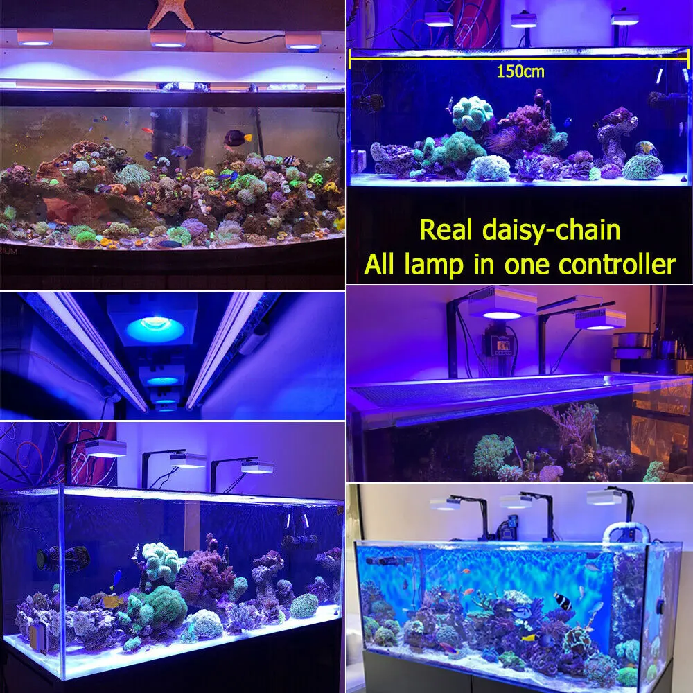 PopBloom luz led para acuario, led acuario marino, lampara acuario, pantalla led acuario, luz acuario coral, luz de acuario marino reef, iluminacion acuario para acuario marino reef, luz led pecera, Turing RS90-5