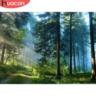 HUACAN DIY Алмазная Картина Пейзаж полная дрель квадратная Алмазная вышивка лес вышивка крестиком Декор для дома картина Стразы