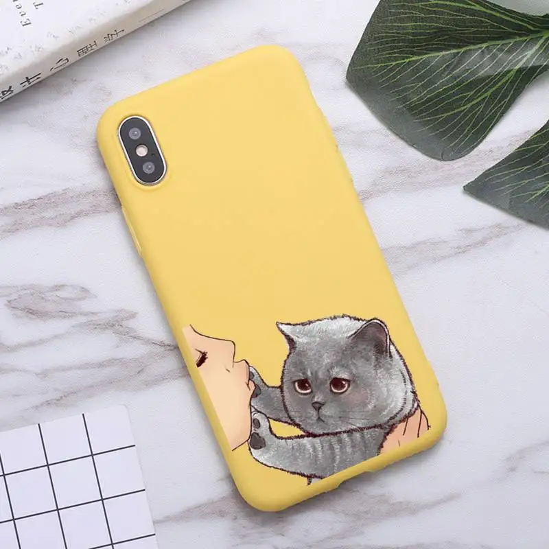 

No Kisses cute Cat animal Phone Case Candy Color for iPhone 6 7 8 11 12 s mini pro X XS XR MAX Plus