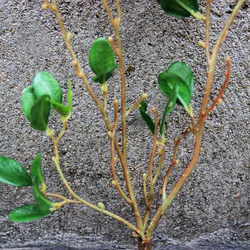 Украшения для сада с рисунком яблоня и листовые искусственные растения зеленой