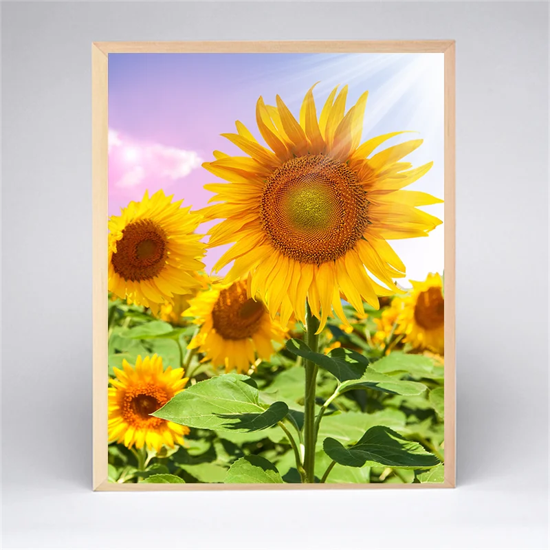 Алмазная 5D картина сделай сам с деревянной фоторамкой вышивка подсолнухом