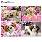 Evershine 5D алмазная вышивка собаки вышивка крестиком животные Алмазная Живопись полная площадь картина стразы декор для дома