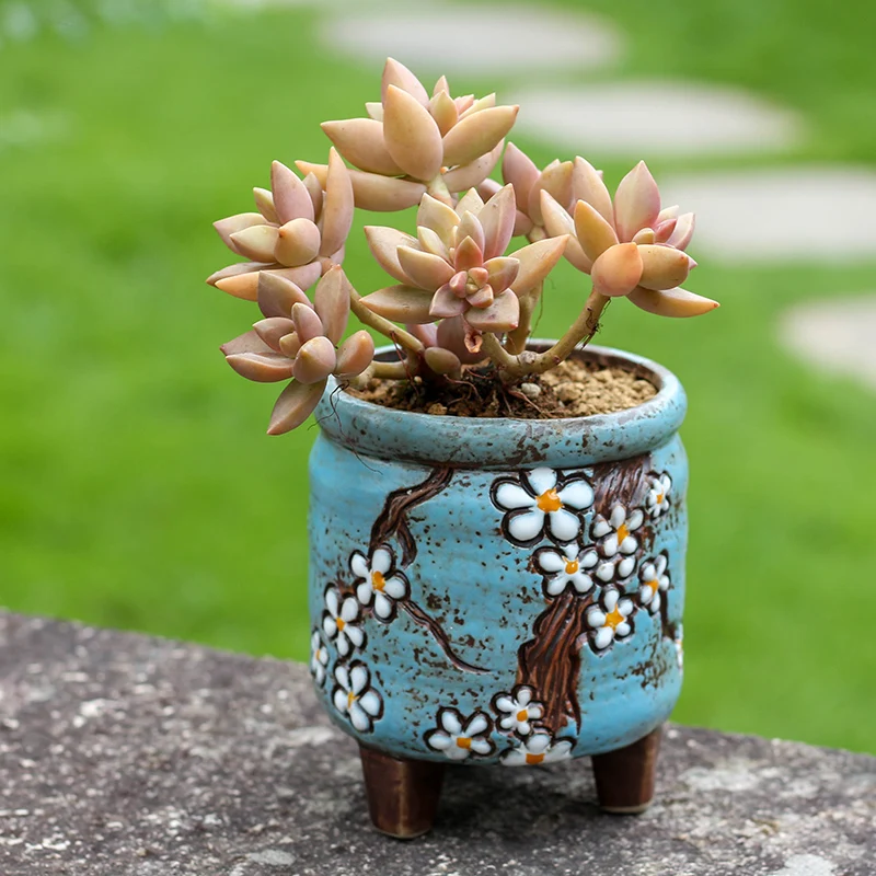 Толстый керамический цветочный горшок для мяса и растений дышащий корейский