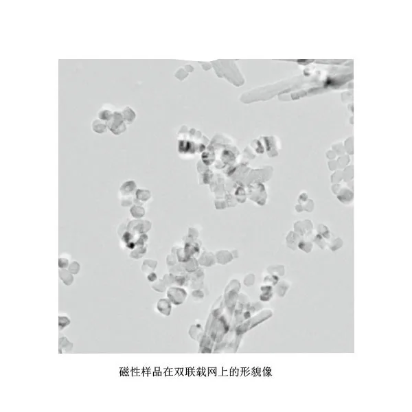 Дуплексная опорная сетчатая пленка для магнитных образцов/Электронная