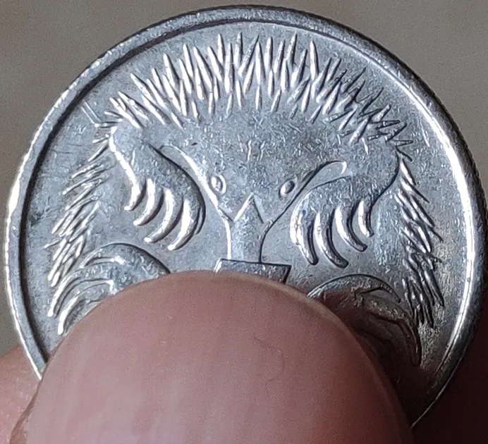 20 мм с коротким клювом echidna Австралия, настоящая монета, оригинальная коллекция