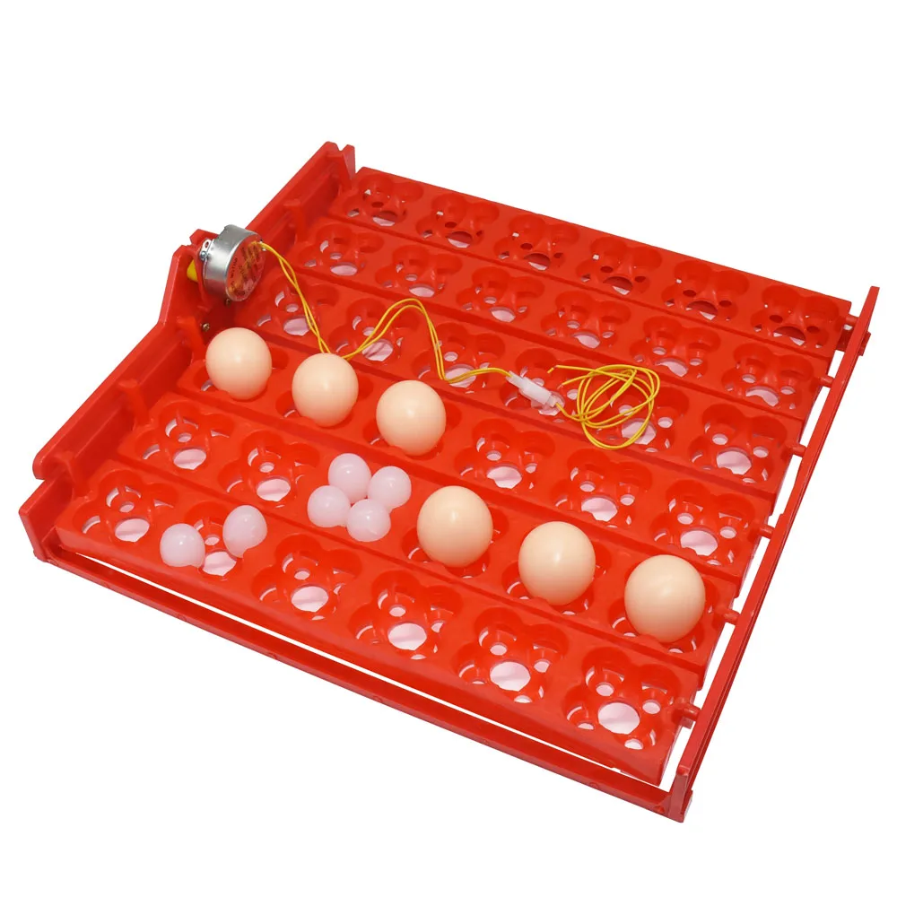 de incubação para 36 ovos 144 ovos