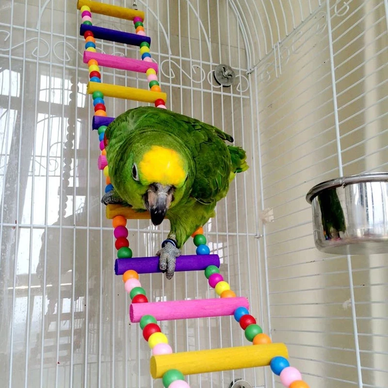 

Funny Pet Birds Hanging Colorful Balls Climbing Toy Parrots Ladders With Natural Wood Bird Toys Cells and Stairs Bird Supplies
