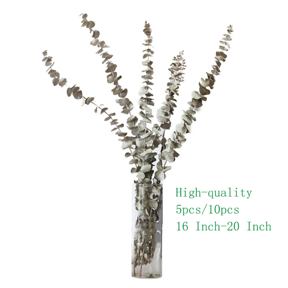 Натуральные Сушеные ветки эвкалипта 40 50 см/5 шт.|Искусственные и сухие цветы| |