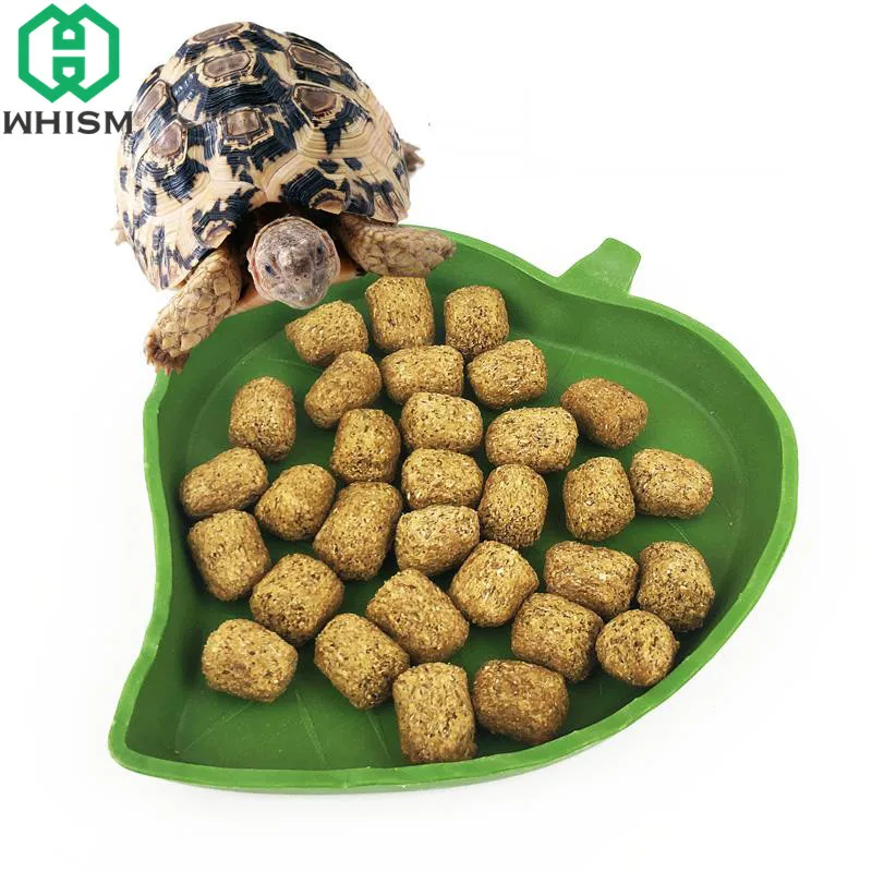 Пластиковая кормушка WHISM для рептилий миска черепахи еды водяной фонтан раковина