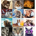 Картины по номерам, животные, 40x50 см, картина AZQSD