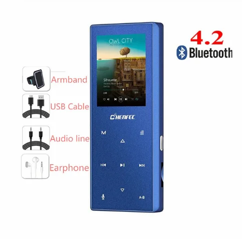 Bluetooth MP3-плеер металлическая сенсорная кнопка поддержка SD карты HIFI без потерь MP3 музыкальный плеер с fm-радио, диктофон, электронная книга - Цвет: C29-Blue-full-set