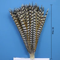 beautiful 50pcslot nature pheasant tail feathers 26 28 inch65 70cm diy decoration party feathers for crafts