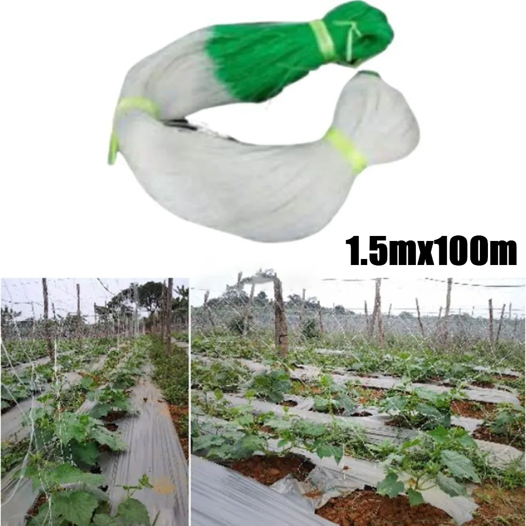 

1,5 м X 100 м Огуречная сеть плетения Jaring Timun завод Поддержка чистая растение Огуречная сетка сада от поставщика