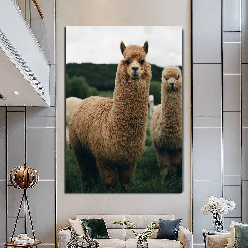 Забавный Альпака настенная живопись холст постеры и принты животных постер для