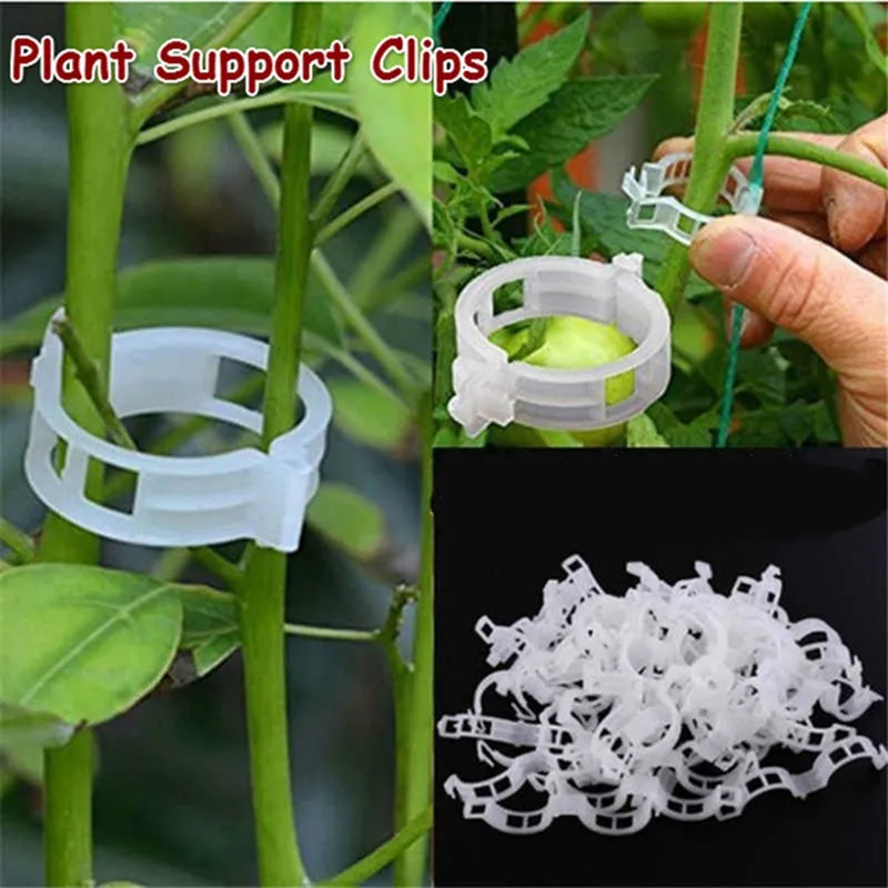 Пряжка в комплекте для садовых растений зажимы виноградной лозы крепления