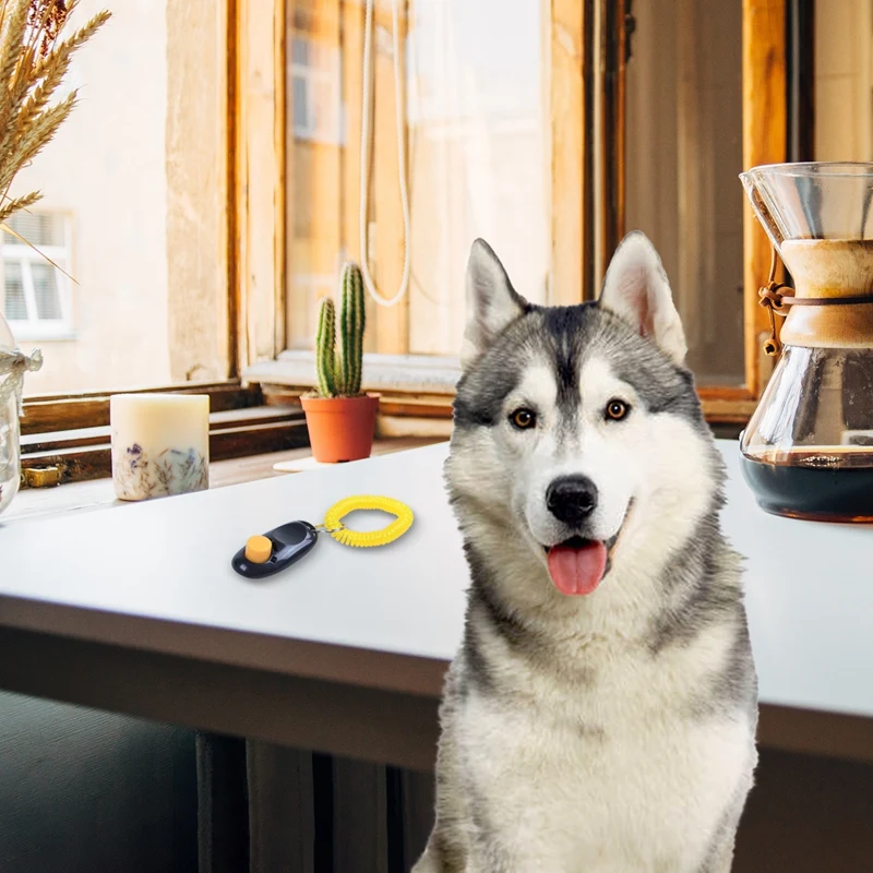 Кликер для тренировочных собак черный| |