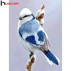Алмазная живопись 5d Huacan с птицами, настенные наклейки, вышивка крестиком, домашний декор с животными, Алмазное искусство