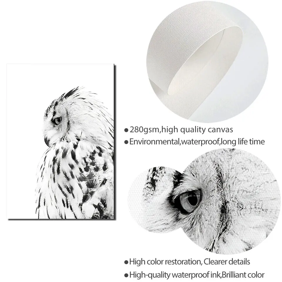 Скандинавский плакат Сова солнечное дерево холст живопись черный белый пейзаж