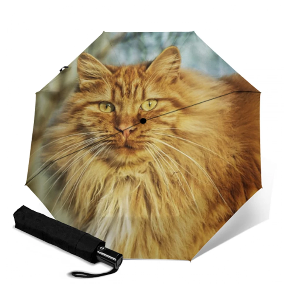 Автоматический зонт компактный складной зонтик от солнца с принтом котят для