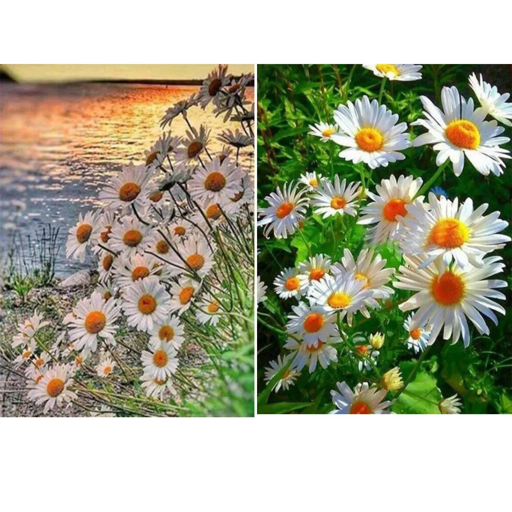 

Стразы мозаичная алмазная живопись, Маргаритка, цветок вышивка крестиком, мозаика Алмазная вышивка распродажа алмазная живопись Хрустальн...