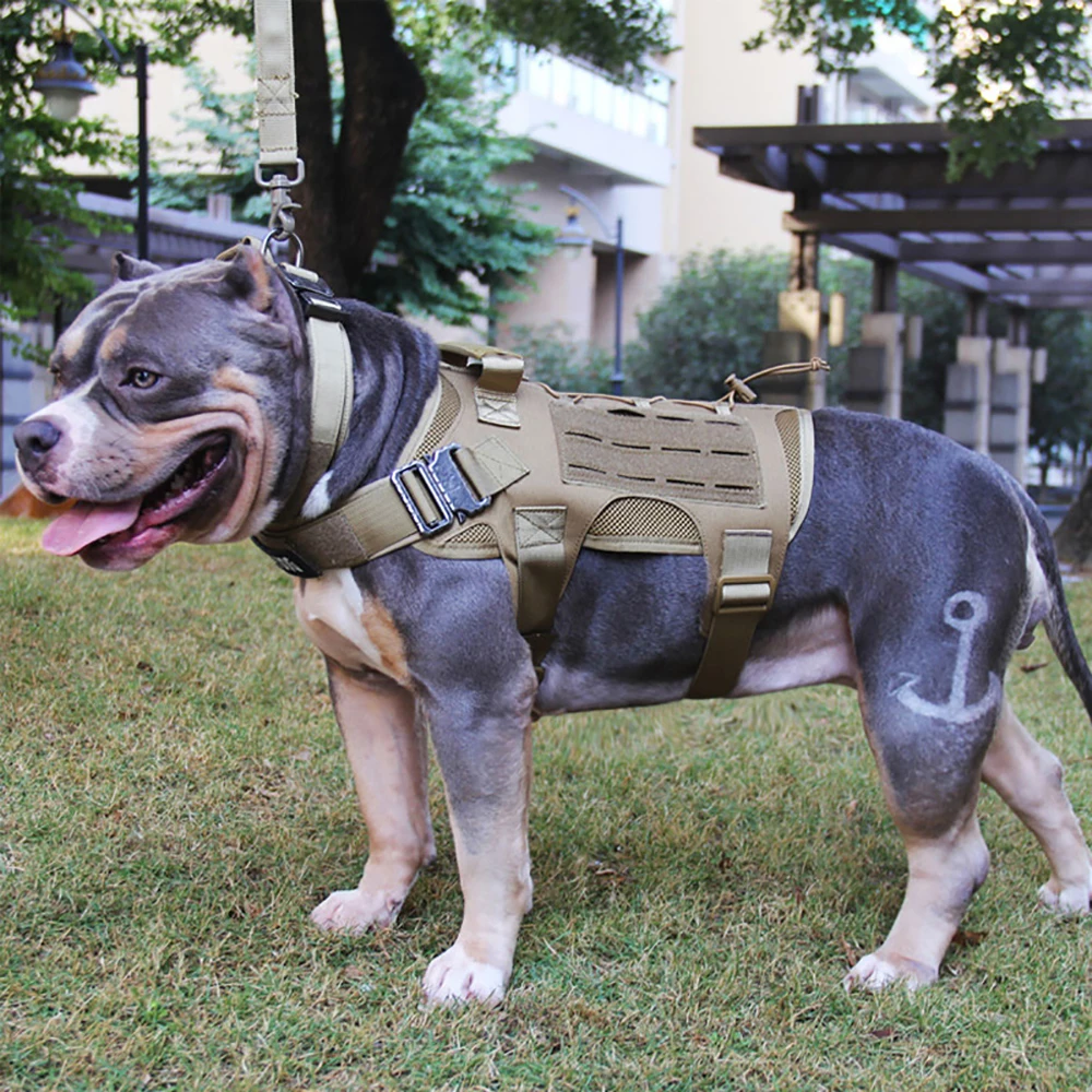 

Tactical Dog Vest Military Hunting Shooting Cs Army Service Dog Vests Nylon Pet Vests Airsoft Training Molle Dog Vest Harness