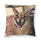 Наволочка для подушки, квадратная, 40x40, с изображением кота Каракала