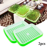 2pcs seed sprouter tray plant pot garden nursery pots soil free sprouting grow box big capacity wheatgrass grower germination